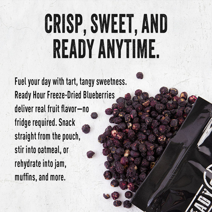 Bag of freeze-dried blueberries with informational text