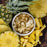 Close-up of Ready Hour freeze-dried pineapple chunks in a white bowl surrounded by slices of fresh pineapple