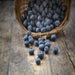 Freeze-Dried Blueberries Case Pack (32 servings, 4 pk.)